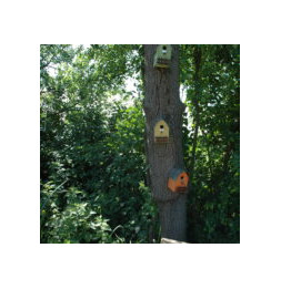 Nichoir ornemental - L 22,2 x l 15 x H 20 cm - Bois de pin - Livraison aléatoire