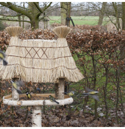 Abri à oiseaux en bois de bouleau - L 56 cm x l 81 cm x H 156 cm