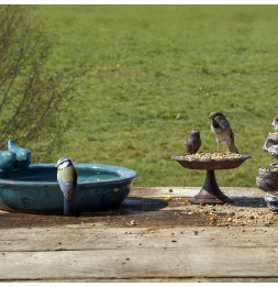 Bain oiseaux rond - L 32,9 cm x l 30,7 cm x H 10,9 cm - Bleu pétrole