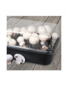 Set cultivateur de champignons - H 15,4 cm - Noir