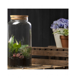 Bouteille terrarium avec couvercle - 10 L