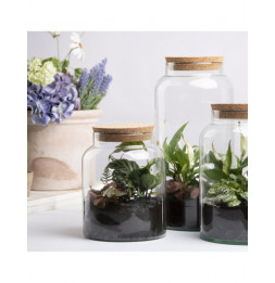 Bouteille terrarium avec couvercle - 10 L