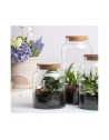 Bouteille terrarium avec couvercle - 10 L