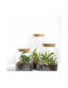 Bouteille terrarium avec couvercle - 5 L