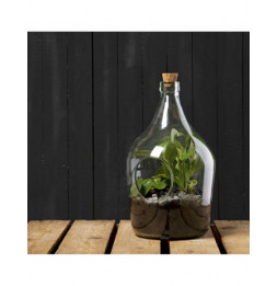 Bouteille terrarium avec ouverture - 5L