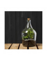 Bouteille terrarium avec ouverture - 5L