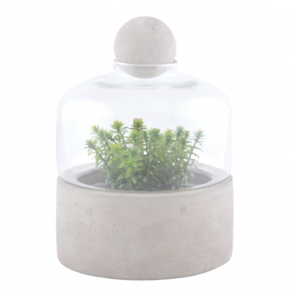 Bouteille terrarium base béton - D 18 x H 23,6 cm