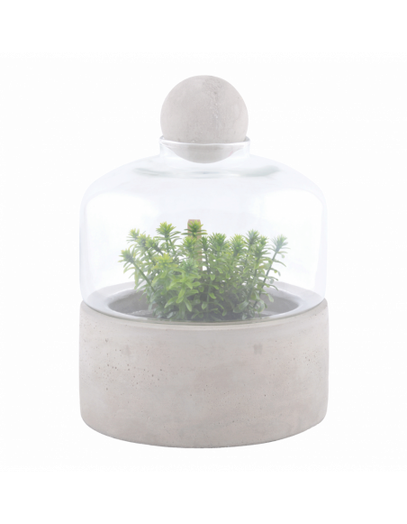 Bouteille terrarium base béton - D 18 x H 23,6 cm