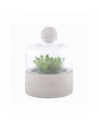 Bouteille terrarium base béton - D 18 x H 23,6 cm