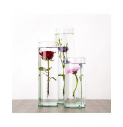 Vase pour fleur immergée avec clip - 2 L