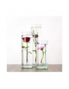 Vase pour fleur immergée avec clip - 2 L