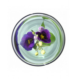 Vase pour fleur immergée avec clip - 5 L