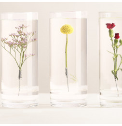 Vase pour fleur immergée avec clip - 5 L