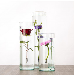 Vase pour fleur immergée avec clip - 7 L