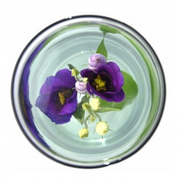 Vase pour fleur immergée avec clip - 2 L