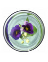 Vase pour fleur immergée avec clip - 2 L