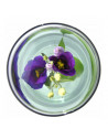 Vase pour fleur immergée avec clip - 4 L