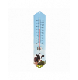 Thermomètre - L 1,4 cm x l 6,7 cm x H 29,7 cm - Modèle aléatoire