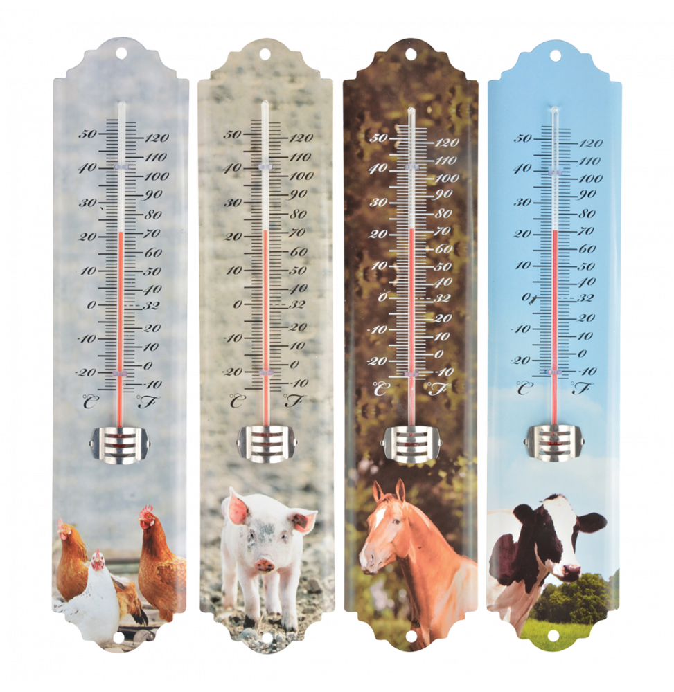 Thermomètre - L 1,4 cm x l 6,7 cm x H 29,7 cm - Modèle aléatoire