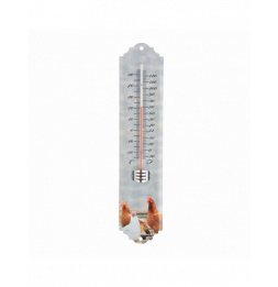Thermomètre - L 1,4 cm x l 6,7 cm x H 29,7 cm - Modèle aléatoire