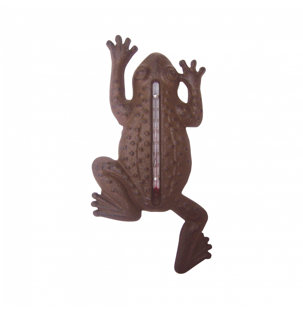 Thermomètre en fonte - Grenouille - L 1,6 cm x l 12 cm x H 23,5 cm