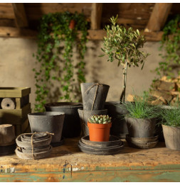 Pot pour plantes en terre cuite - D 16,3 cm x H 12,6 cm - Gris