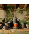 Pot pour plantes en terre cuite - D 16,3 cm x H 12,6 cm - Gris