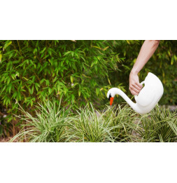 Arrosoir cygne - 2 L - Blanc