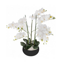 Orchidée artificielle en pot - H 65 cm - Blanc