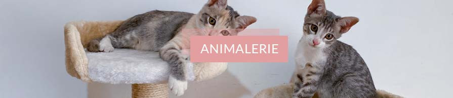 Animalerie