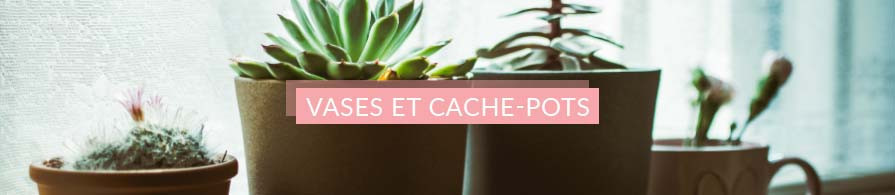 Vases et cache-pots