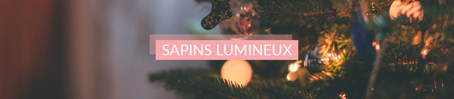 Sapins lumineux